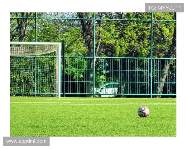 俄罗斯与墨西哥巅峰对决直播:绿茵场上的激情碰撞